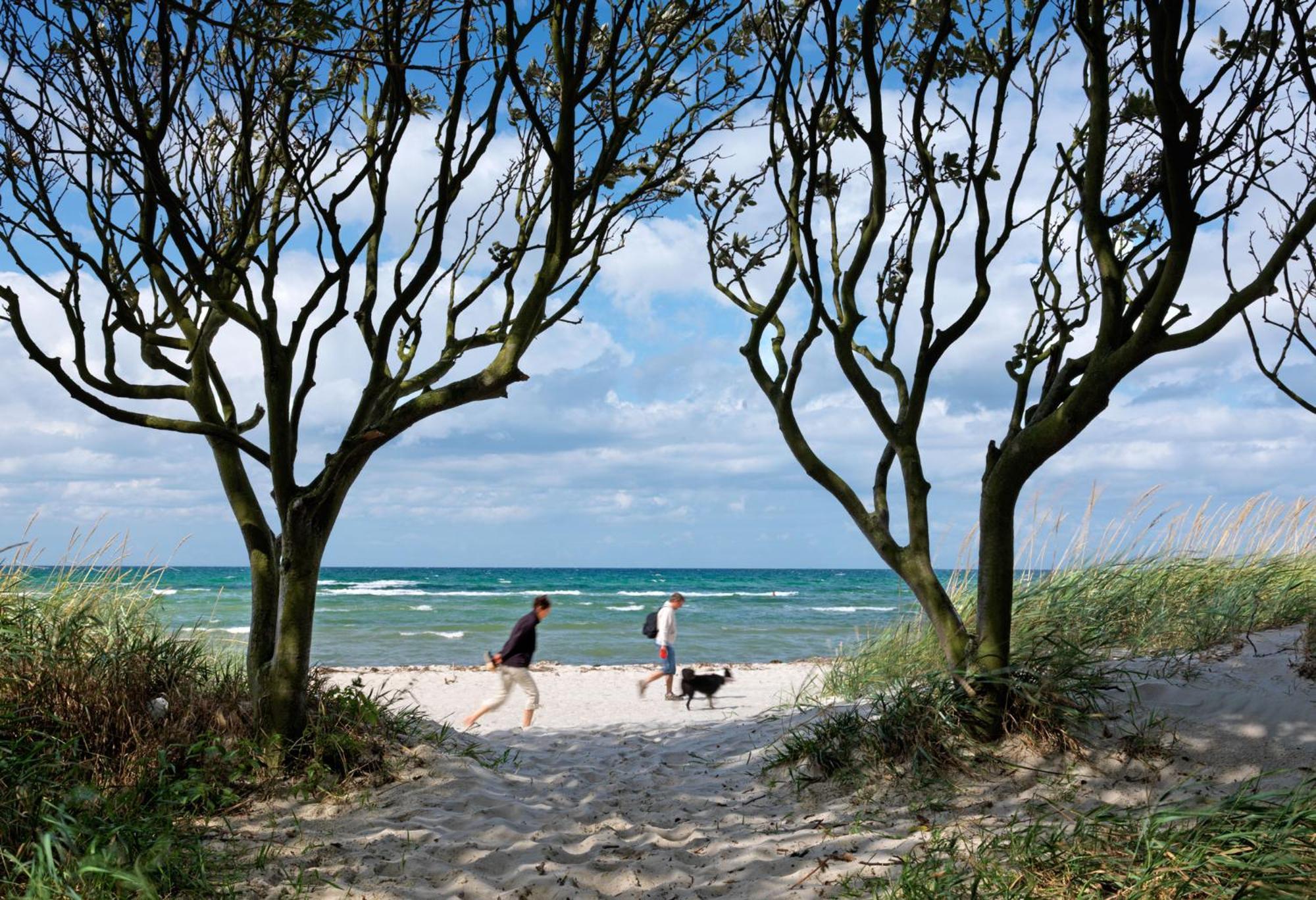 Reetdachhaus Hus Kieker Villa Insel Poel Bagian luar foto